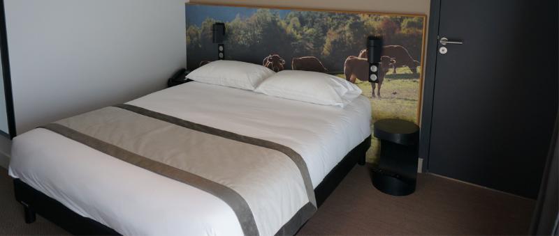 The Originals Relais Hotel Saint-Roch Salzuit Екстериор снимка